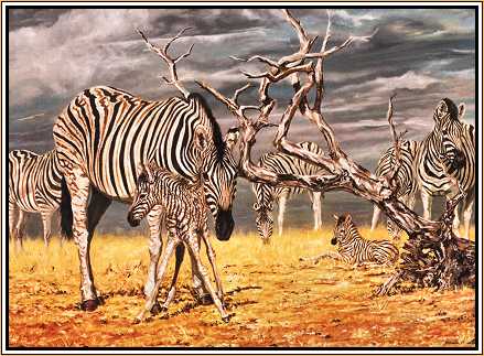 Good Boy : Zebra and Baby