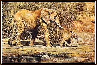 Elephant and Calf 1