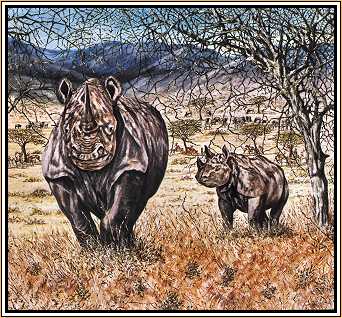 Rhinos