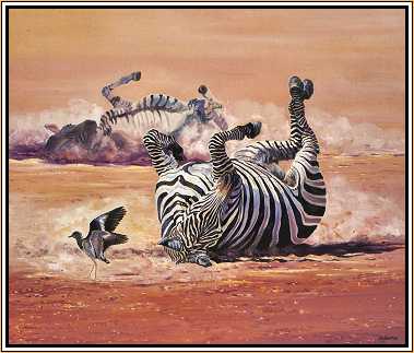 Dusty Stripes : Zebra