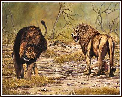 The Lion's Share
