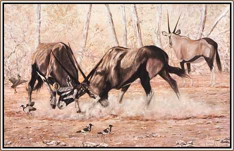 Honour Bound : Gemsbok Sparring