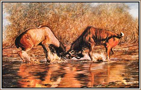 The Duellists : Kudu