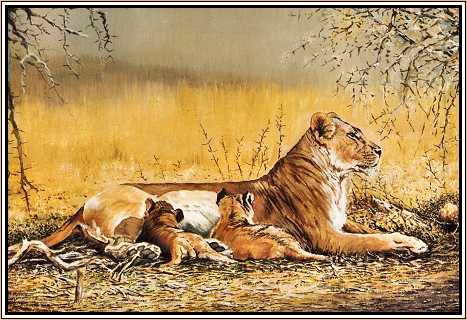 Lioness and Cubs 1