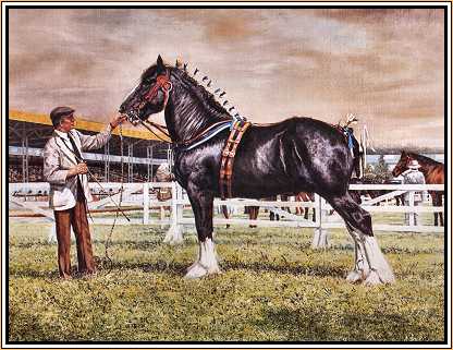 Shire
