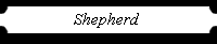 Shepherd