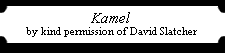 Kamel
