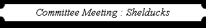 Committee Meeting : Shelducks