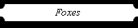 Foxes