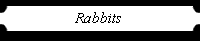 Rabbits