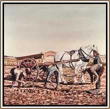 Potato Diggers