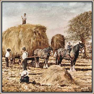 Haymaking