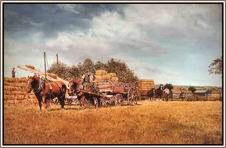 Meadow Farm