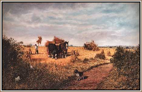 The Harvesters