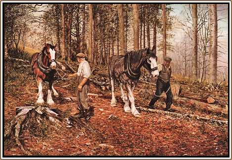 The Loggers