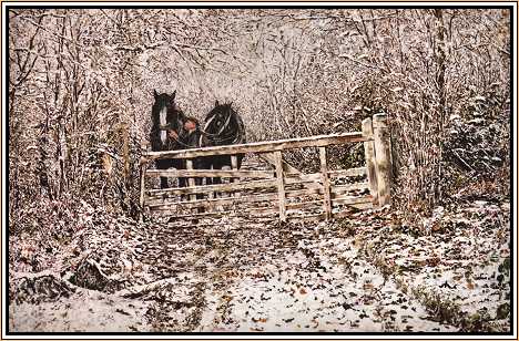 Winter Scene with Shires