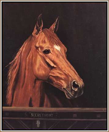 Secretariat : A Portrait