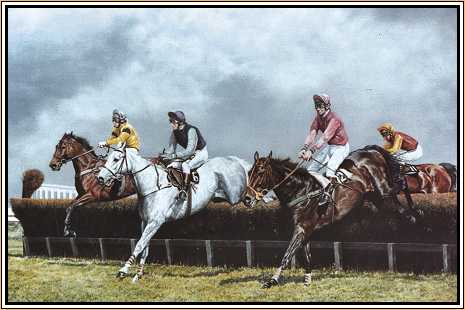 Desert Orchid