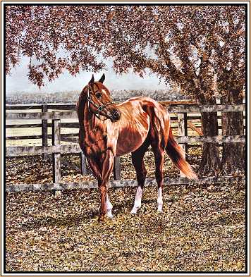 Secretariat, Standing in the USA