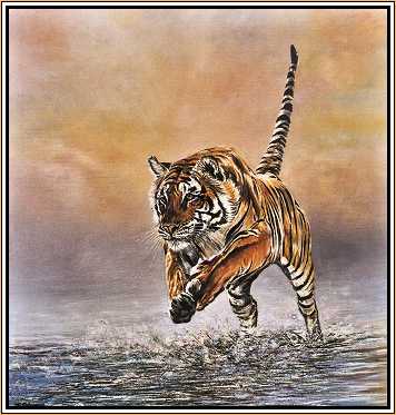 Genghis of Ranthambhore in Rajasthan