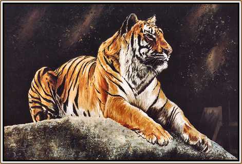 Kamel