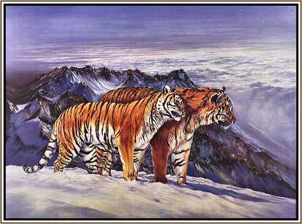Regal Kingdom, Siberian Tigers