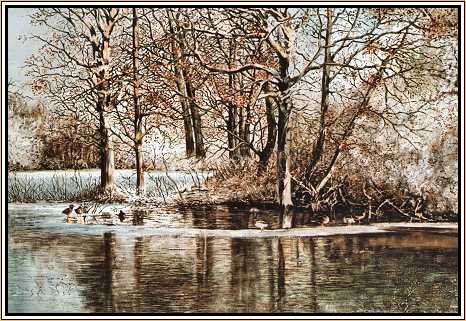 Mallards on Frozen Pond