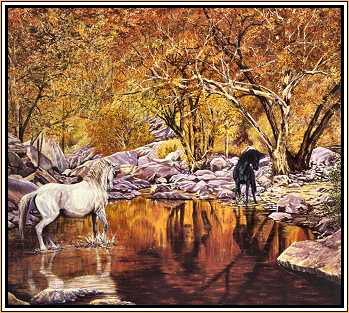The Knights : Wild Stallions