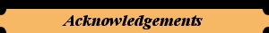 Acknowledgements