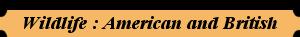 Wildlife America and British