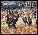 Rhinos