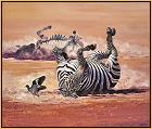 Dusty Stripes : Zebra