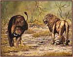 The Lion's Share