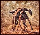 Giraffes
