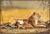 Lioness and Cubs 1