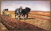 Ploughing Match
