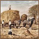 Haymaking