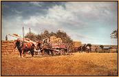 Meadow Farm