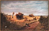 The Harvesters