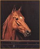Secretariat : A Portriat