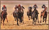 Steady : L. Piggott and Prickle : Chieveley Park Stakes