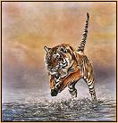 Genghis of Ranthambhore in Rajasthan