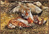 Tigress and Cubs