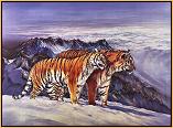 Regal Kingdom : Siberian Tigers