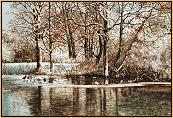 Mallards on Frozen Pond
